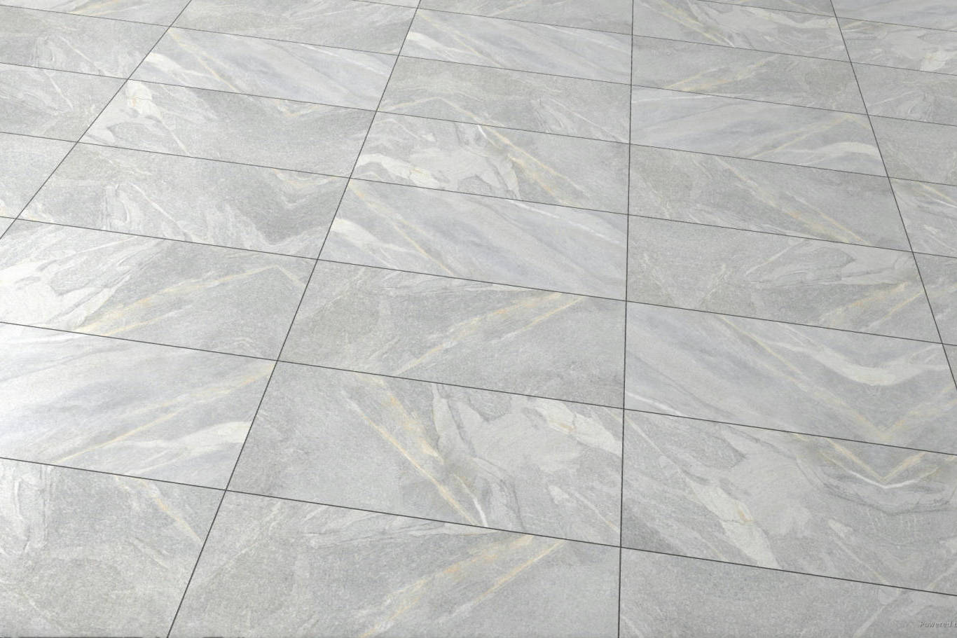 Capri 12x24” Light Grey 1 | Digital Tile Catalog | Carminart