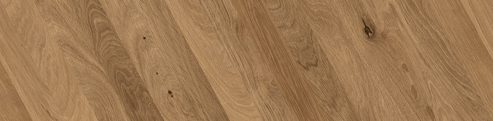 Chevron Kaya Oak Wellington | Digital Tile Catalog | Carminart
