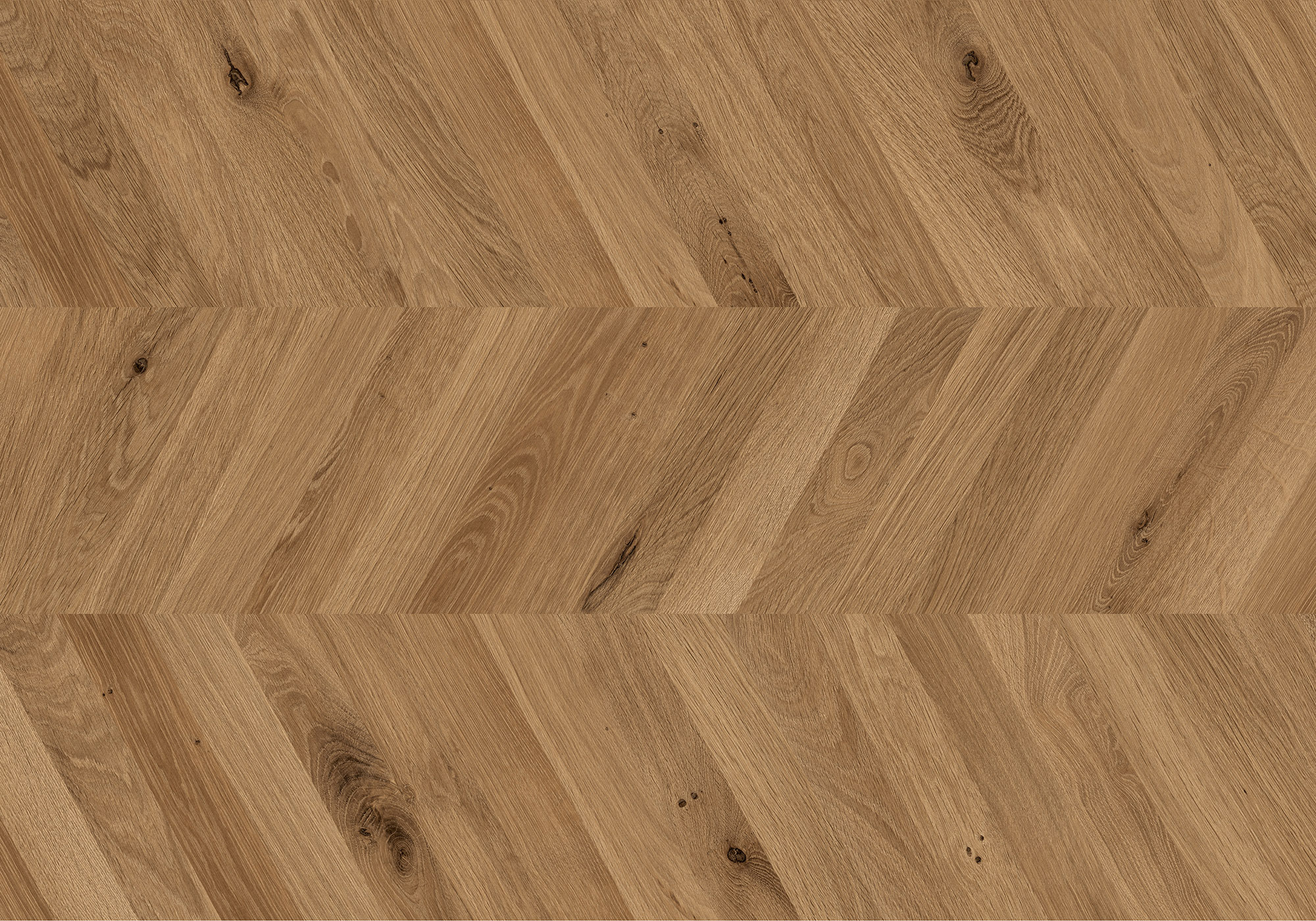 Chevron Kaya Oak Wellington | Digital Tile Catalog | Carminart