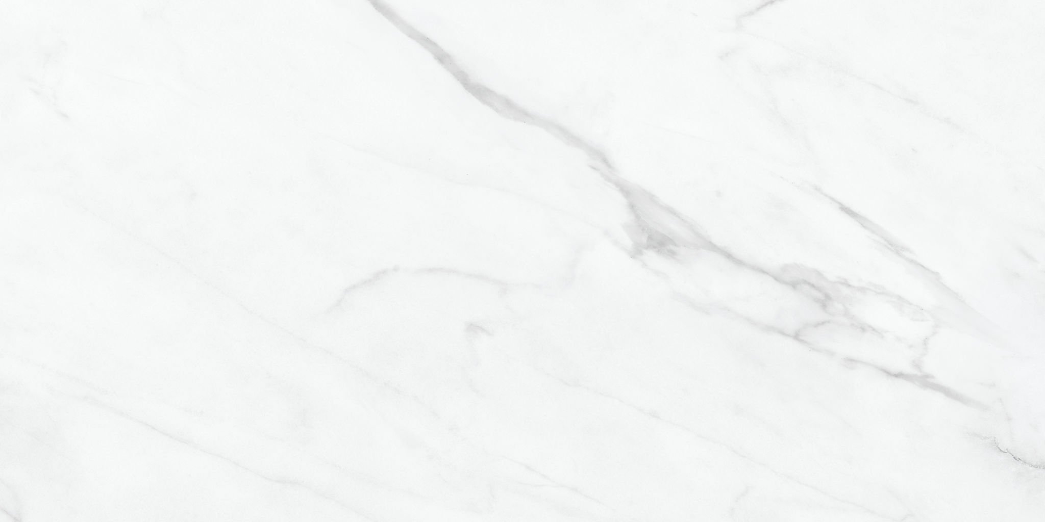 Altezza 12x24 Carrara | Digital Tile Catalog | Carminart