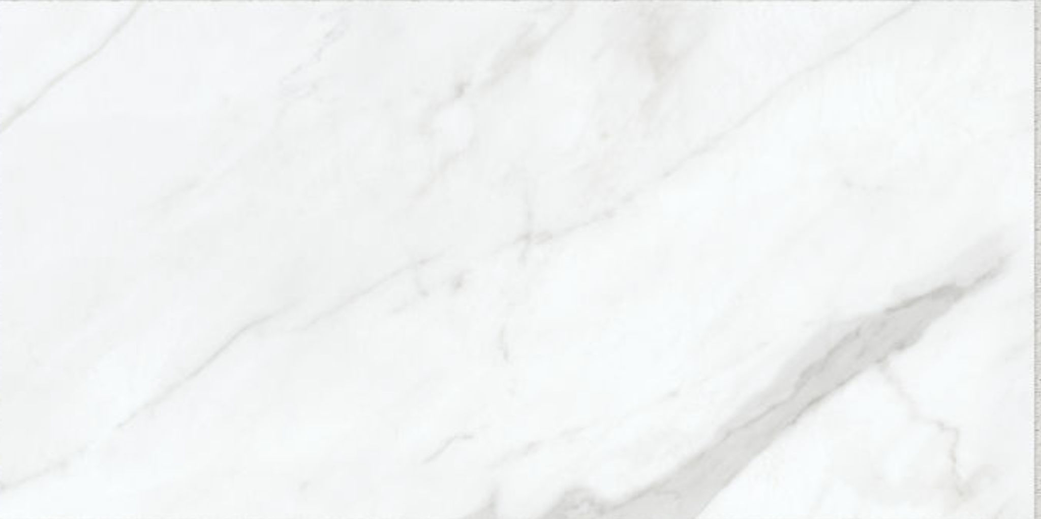 Altezza 12x24 Carrara | Digital Tile Catalog | Carminart