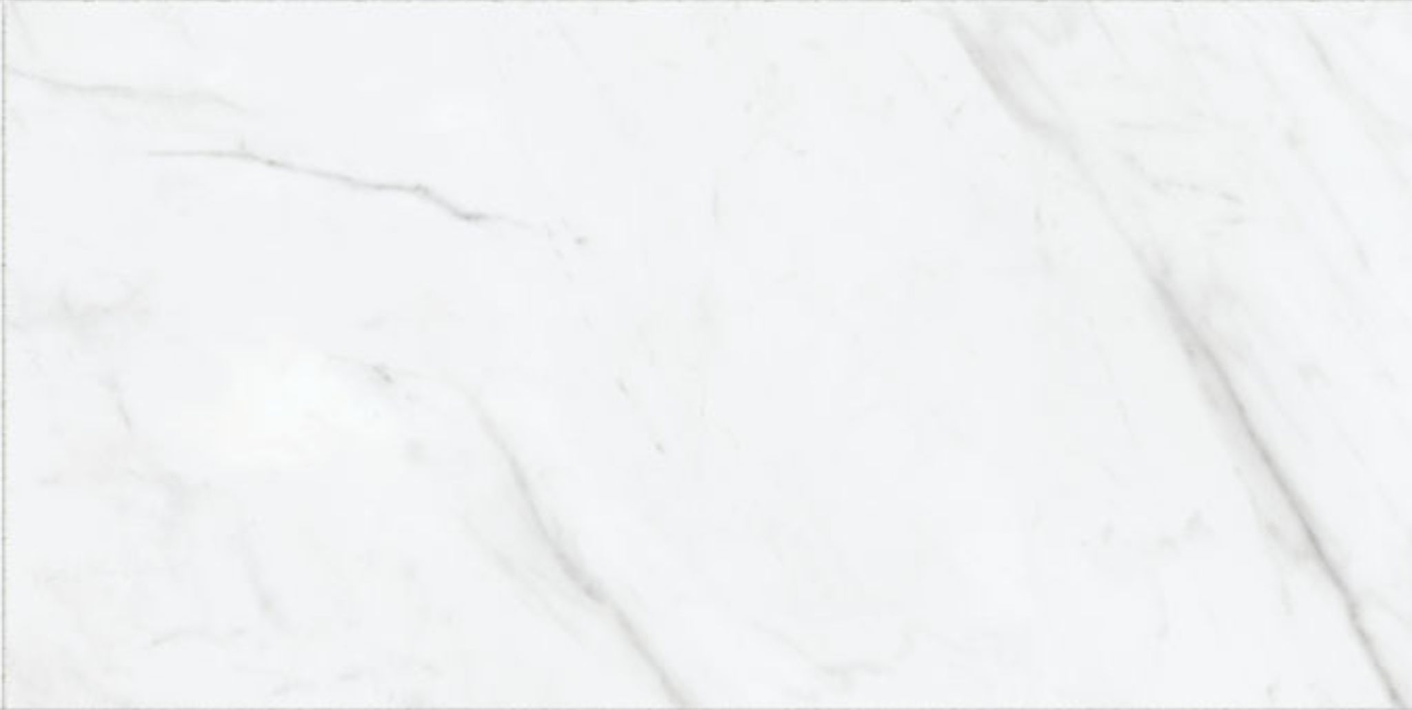 Altezza 12x24 Carrara | Digital Tile Catalog | Carminart