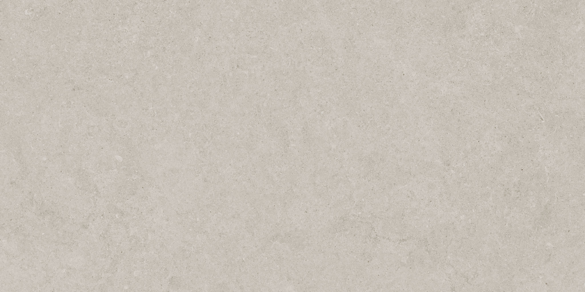 Lithoform 12X24 Crosscut Coast | Digital Tile Catalog | Carminart