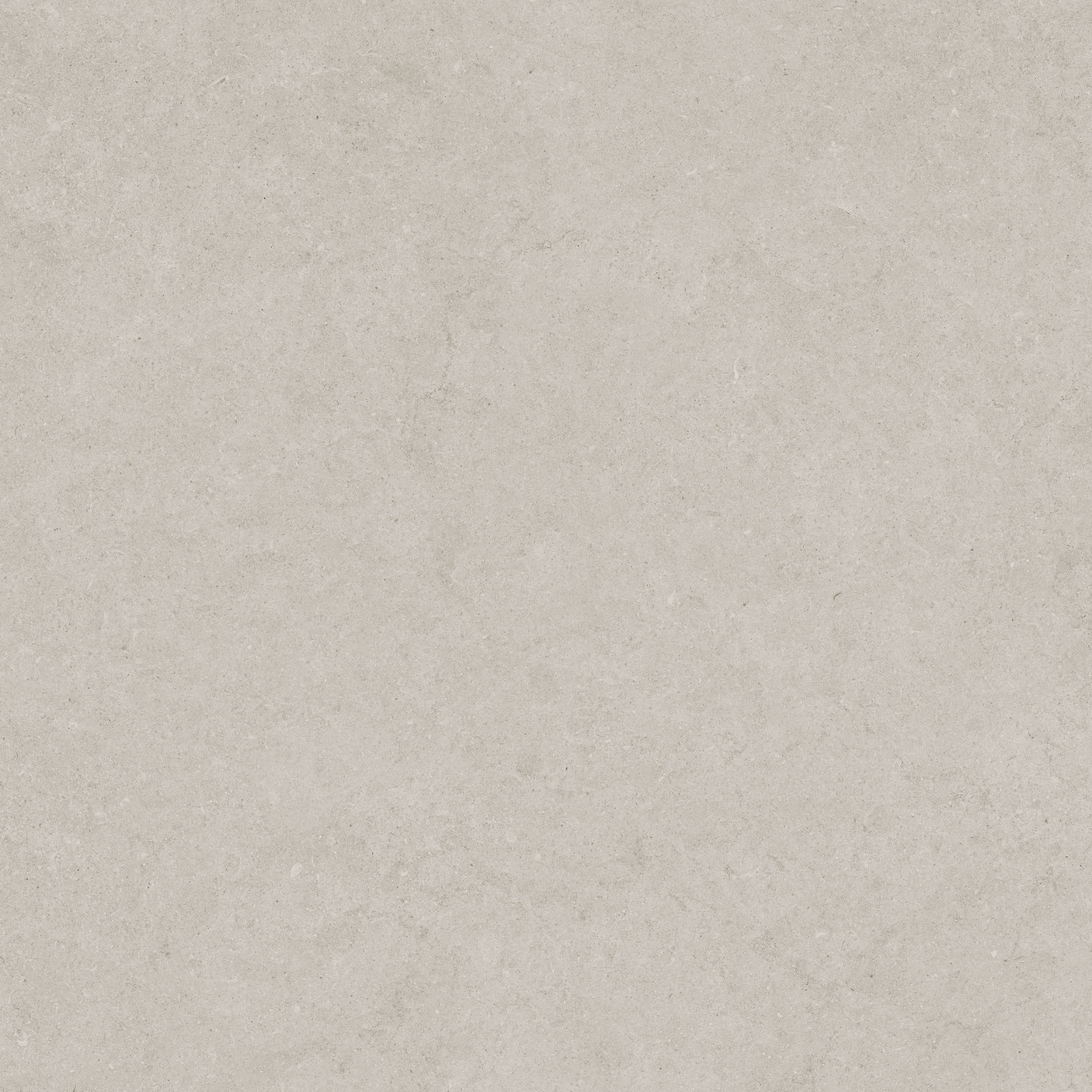 Lithoform 24X24 Crosscut Coast | Digital Tile Catalog | Carminart