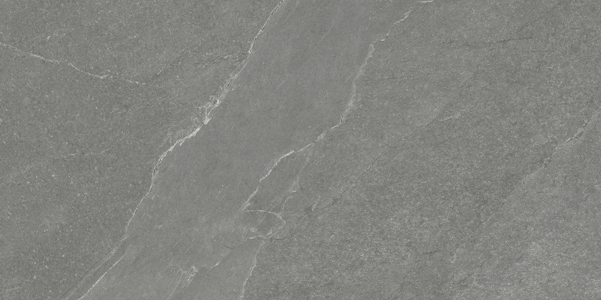 Nord 12x24 Chromium | Digital Tile Catalog | Carminart