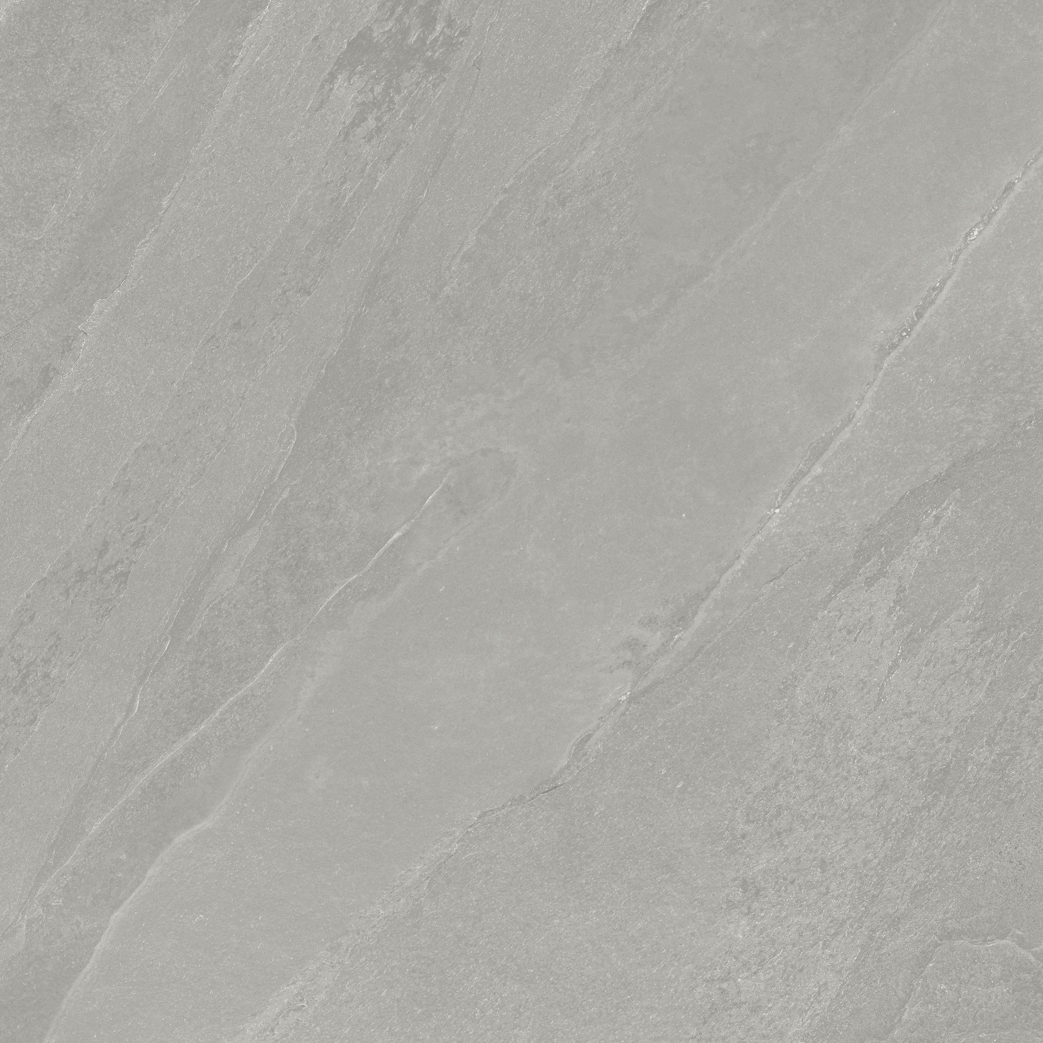 Nord 24x24 Palladium | Digital Tile Catalog | Carminart