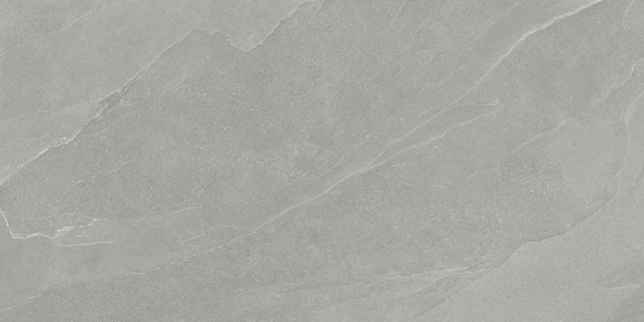Nord 24x48 Palladium | Digital Tile Catalog | Carminart