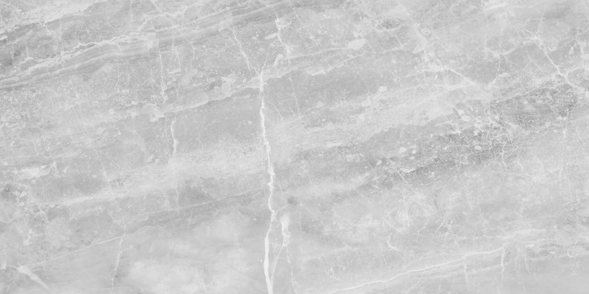 Plata 12x24 Perla Grigia Matte | Digital Tile Catalog | Carminart