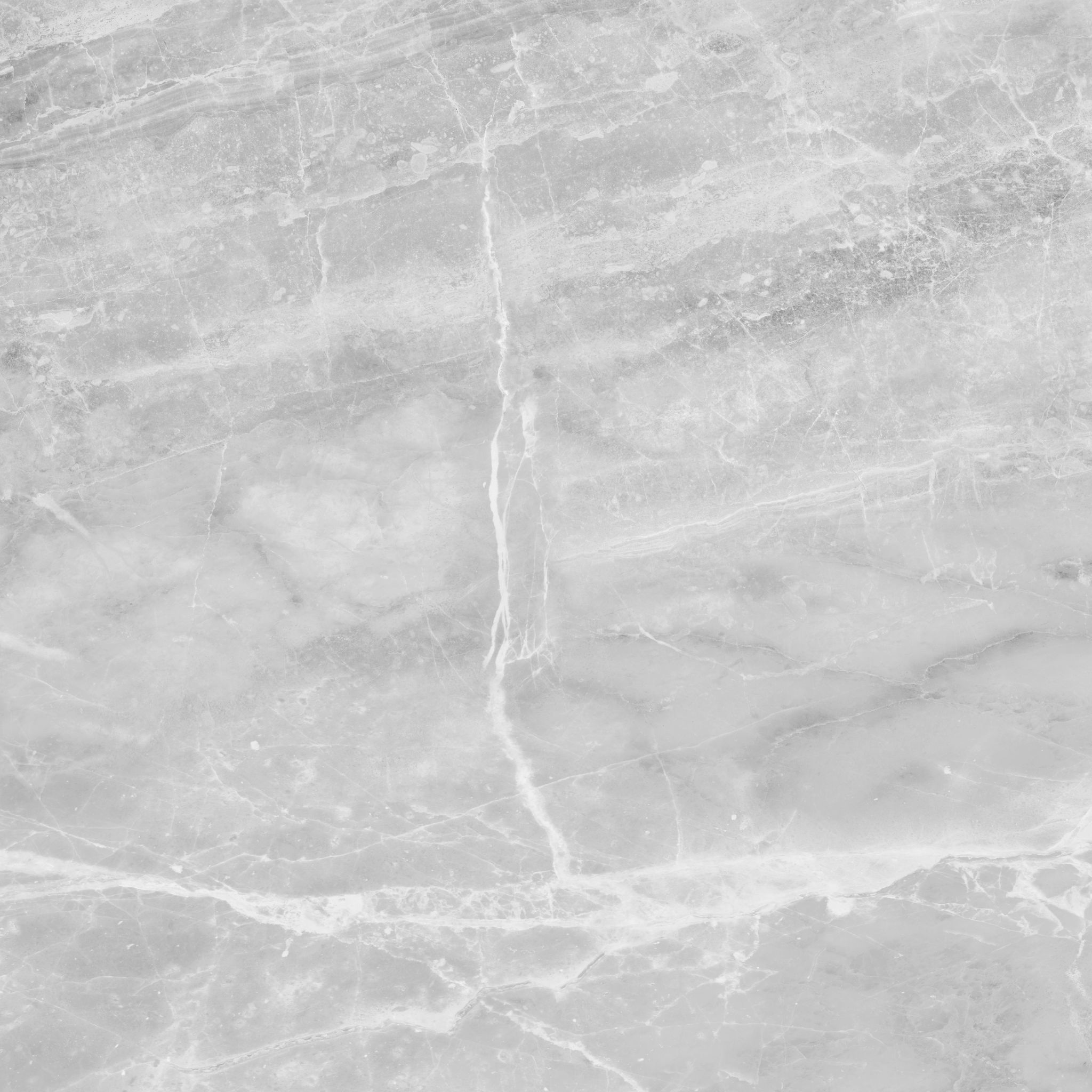 Plata 24x24 Perla Grigia Matte | Digital Tile Catalog | Carminart