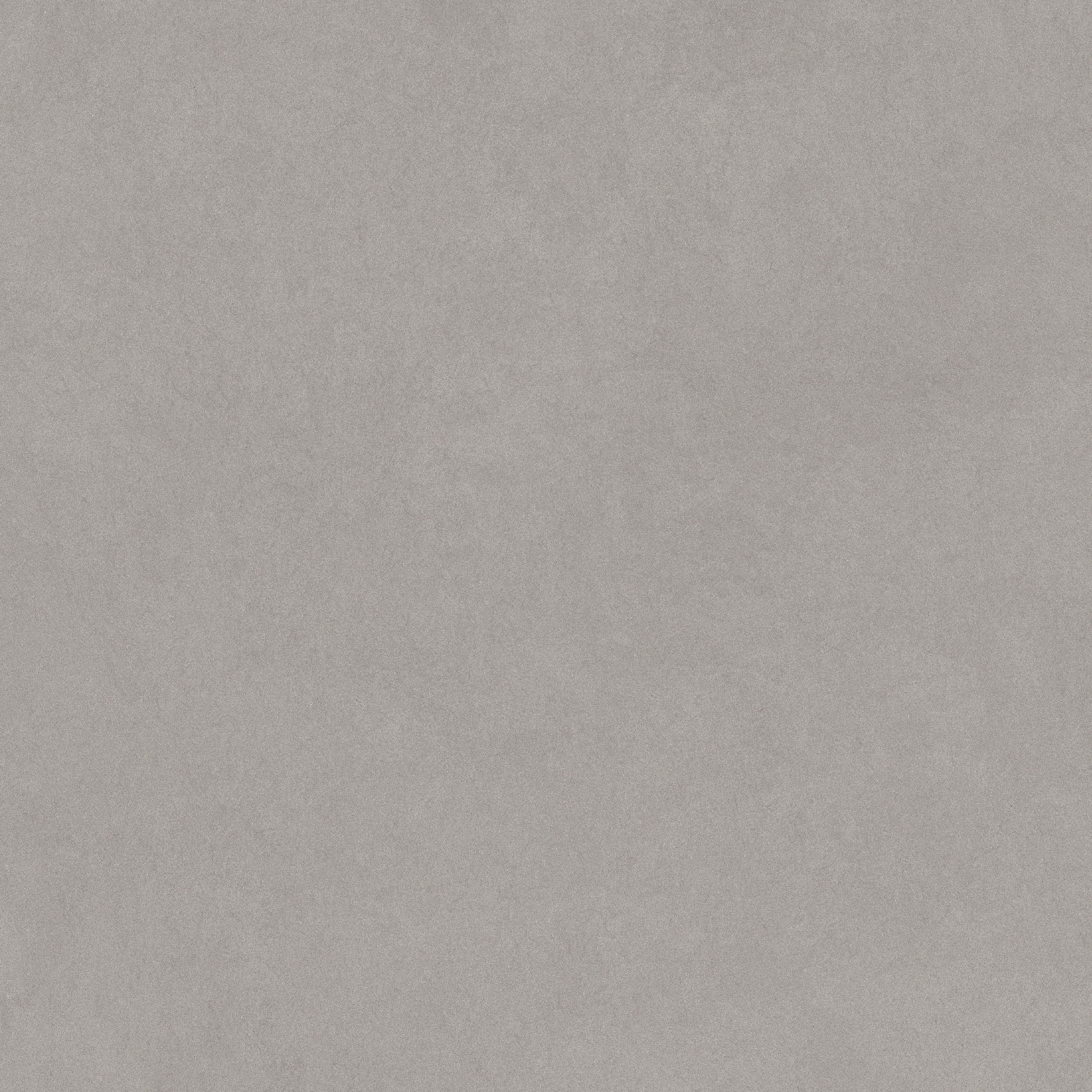 Serena 48X48 Pewter | Digital Tile Catalog | Carminart