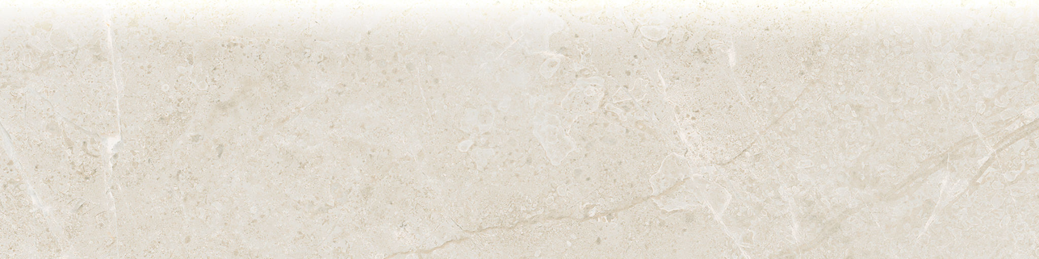 Torino 3x12 Avorio Bullnose | Digital Tile Catalog | Carminart