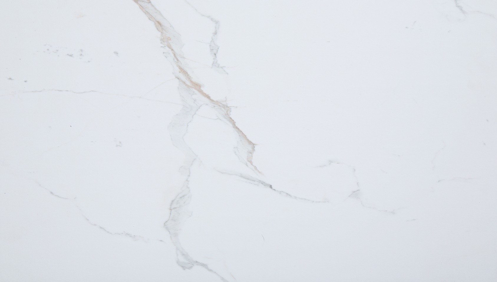 Carrara Marble Wall Tile 25x15 | Digital Tile Catalog | Carminart