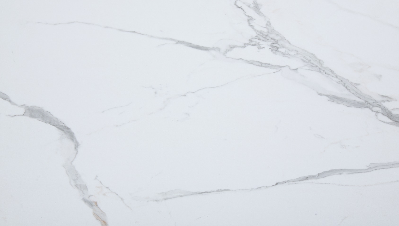 Carrara Marble Wall Tile 25x15 | Digital Tile Catalog | Carminart