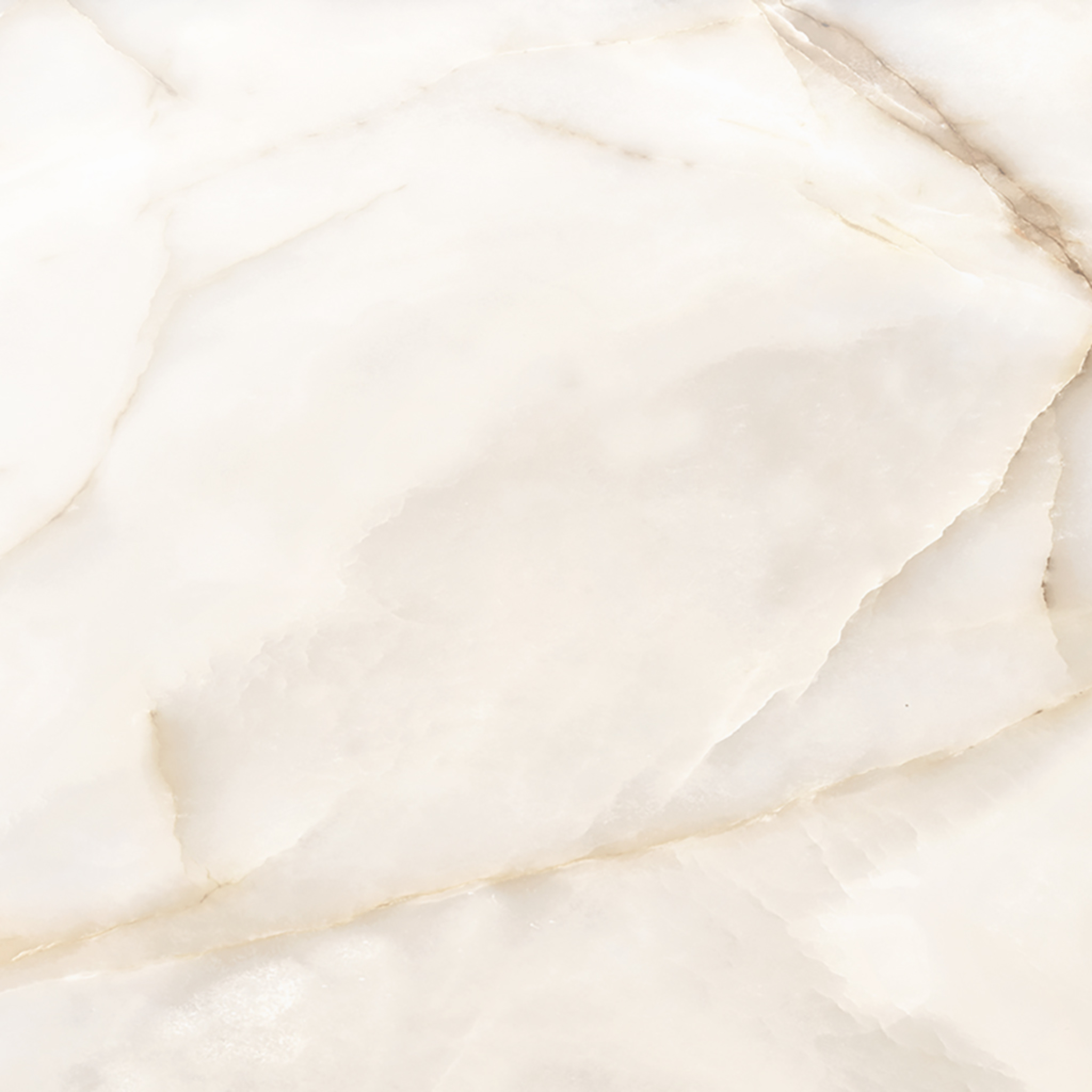 Intrigue Ivory Polished 24x24 | Digital Tile Catalog | Carminart